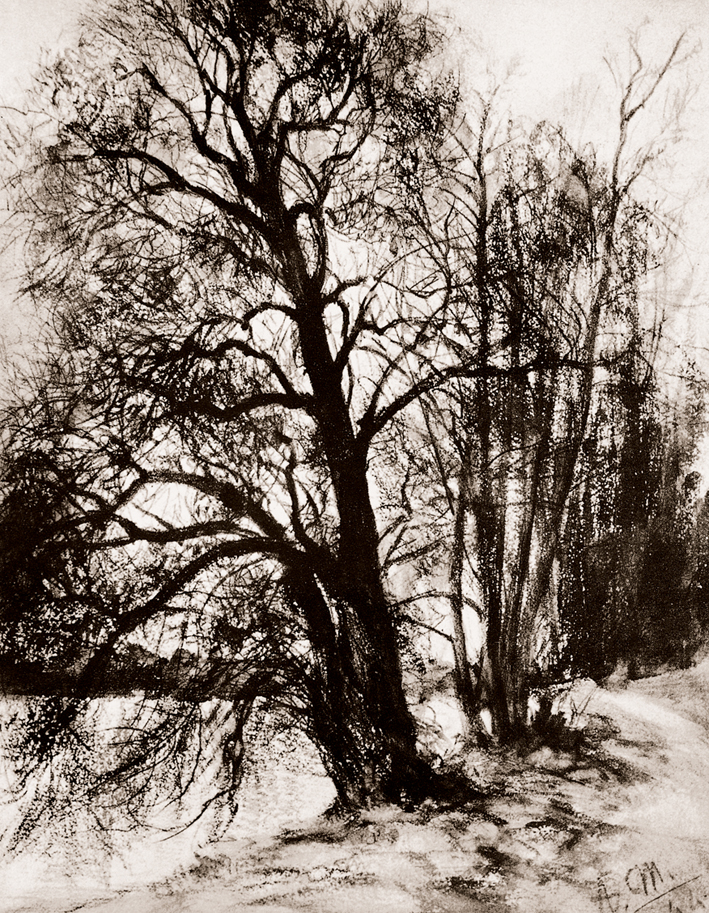  Adolpyh Von Menzel —— 岸边有树的风景